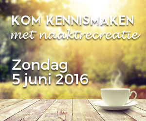 Rectangle-kennismakingsdag