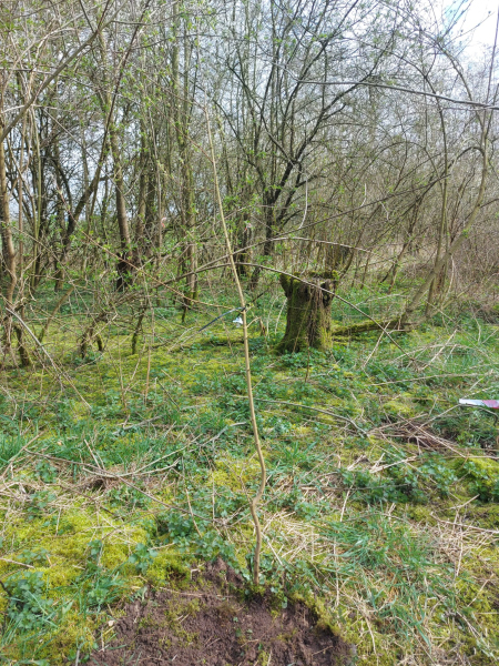 IMG-20230325-WA0019