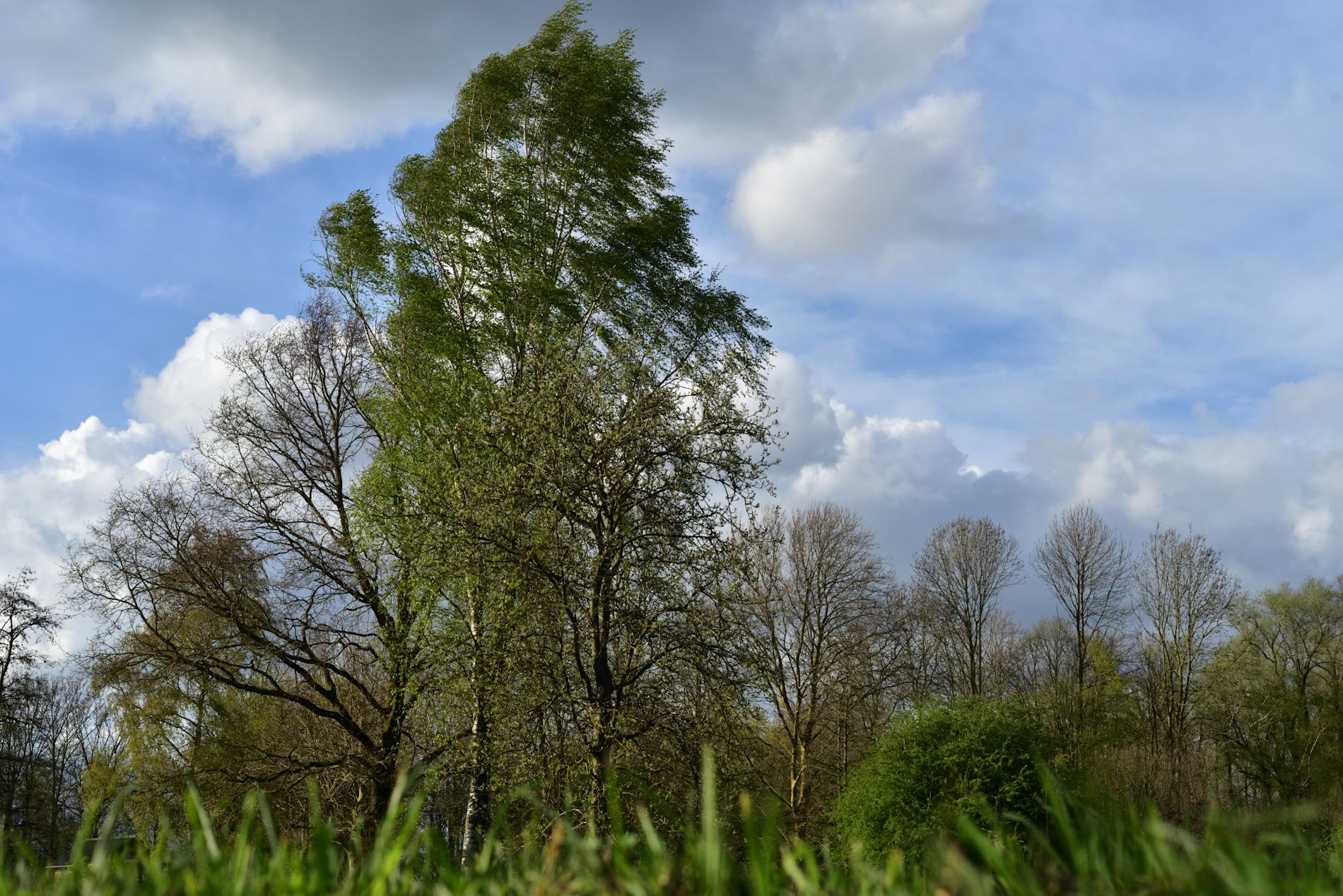 DSC_4683_1406b
