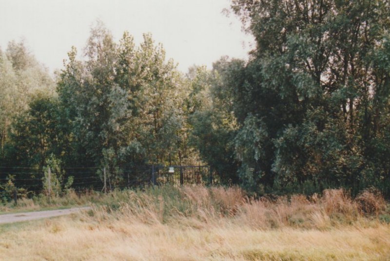 Image01