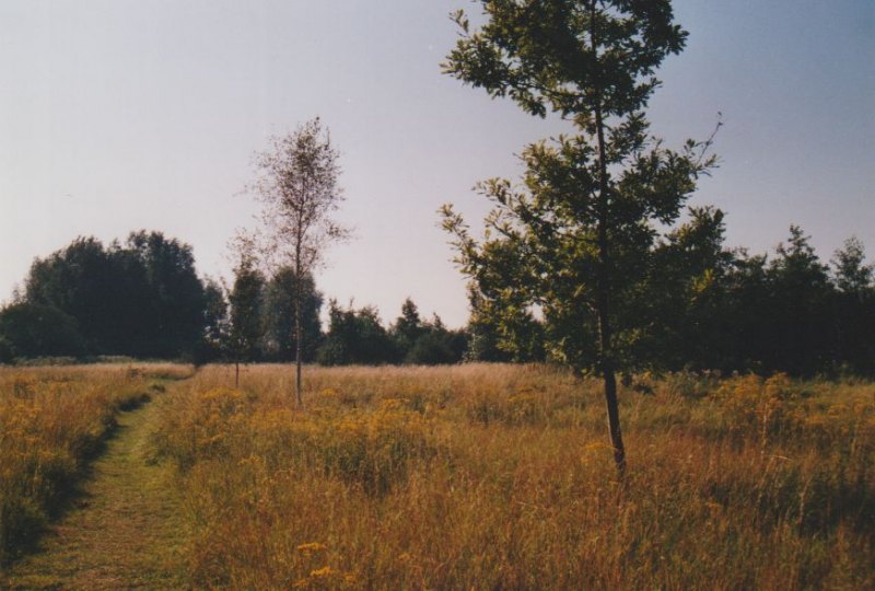 Image03