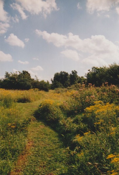 Image04