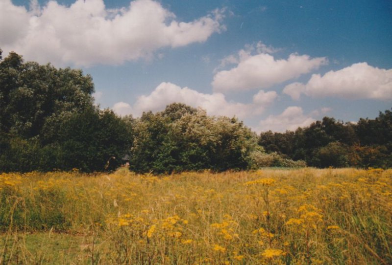 Image05