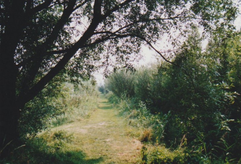 Image06