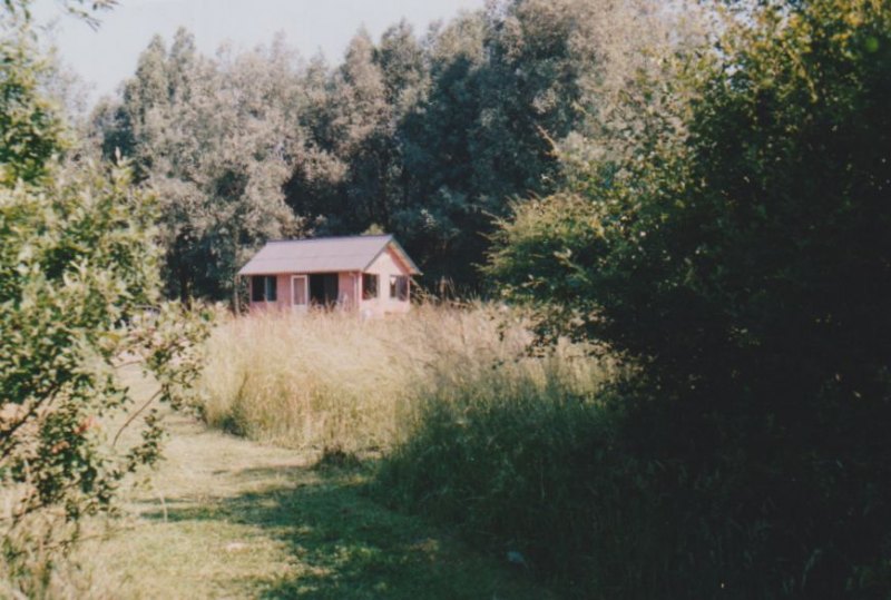 Image07