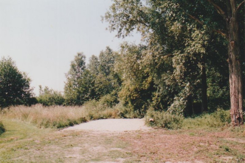 Image08