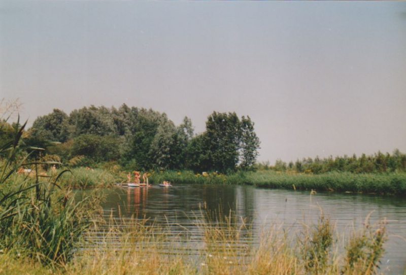 Image10