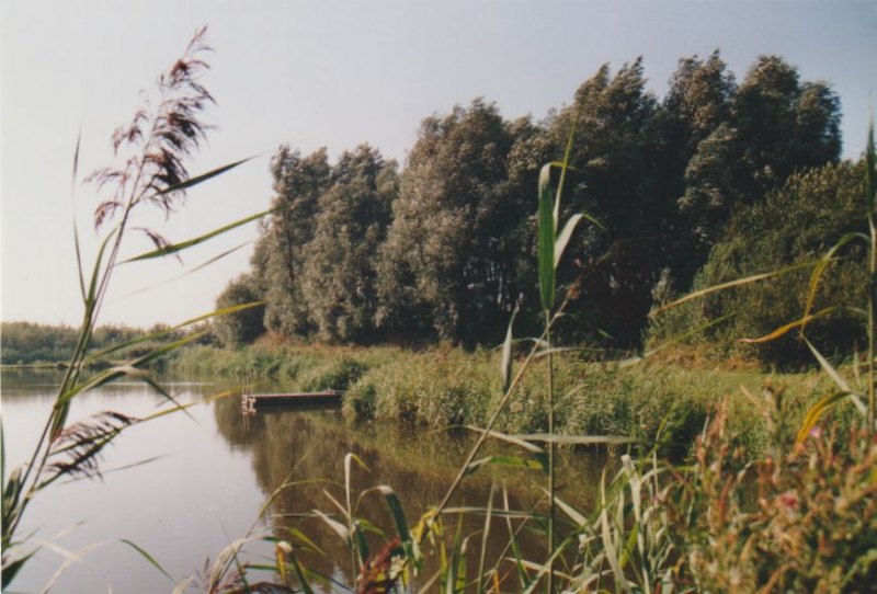 Image11