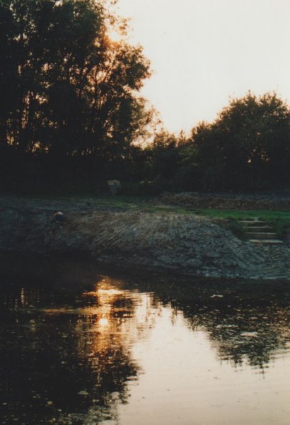 Image12