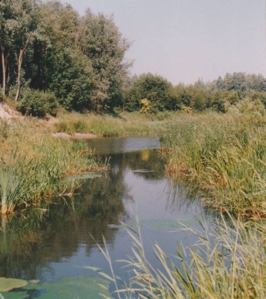 Image14