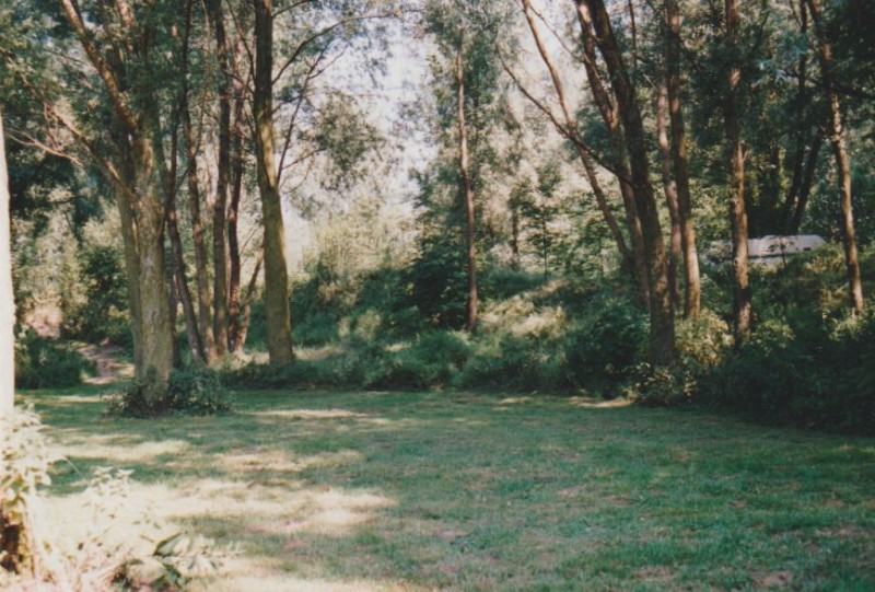 Image18