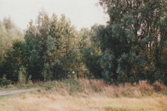 Image01