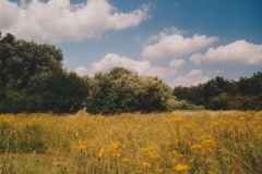 Image05