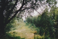 Image06