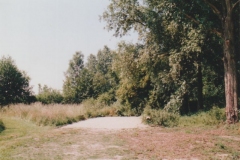 Image08