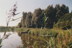 Image11