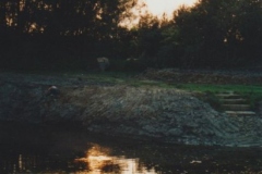 Image12