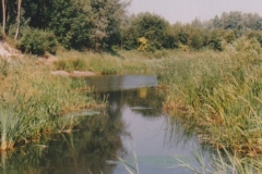 Image14