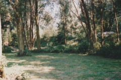 Image18