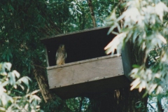 Image19