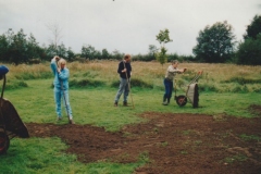 Image20