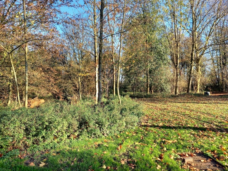 20201118_093906