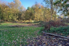 20201104_151314