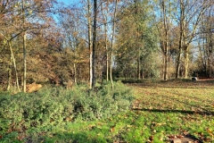 20201118_093906