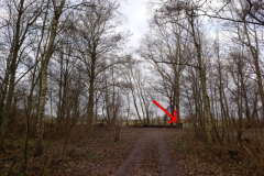 20230107_110229b