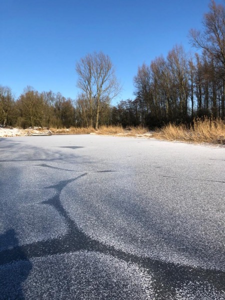 19-IMG-20210217-WA0007