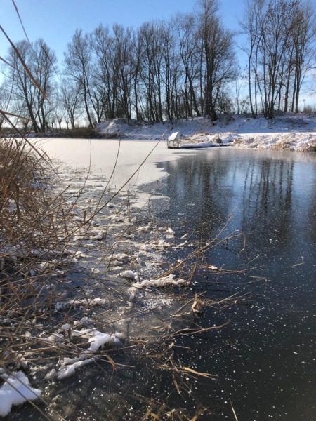 22-IMG-20210217-WA0006