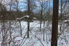 00-IMG_8401