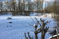 00a-IMG_8427