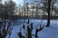 00b-IMG_8429