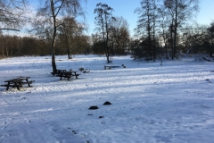 04-IMG_8424
