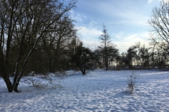 05-IMG_8440