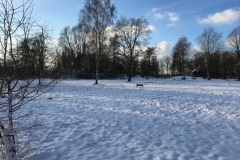 07-IMG_8442