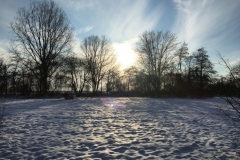 09-IMG_8430