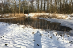 17-IMG_8416