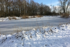 18-IMG_8415
