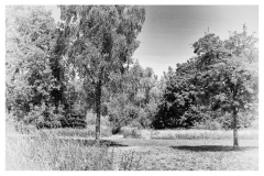 AE1
